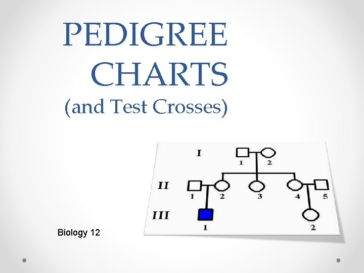PEDIGREE CHARTS (and Test Crosses) Biology 12 