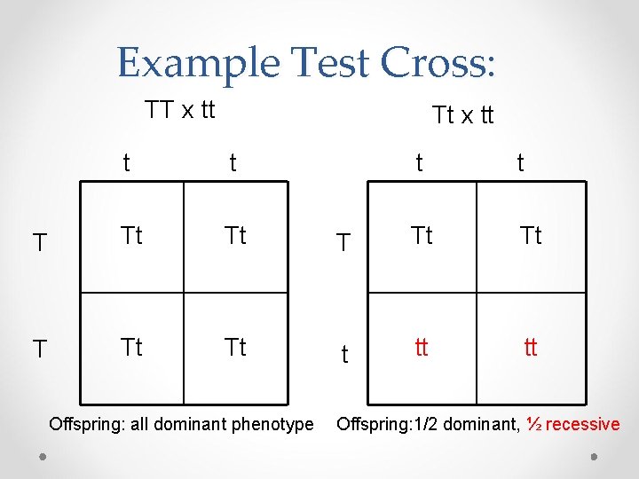 PEDIGREE CHARTS and Test Crosses Biology 12 Review