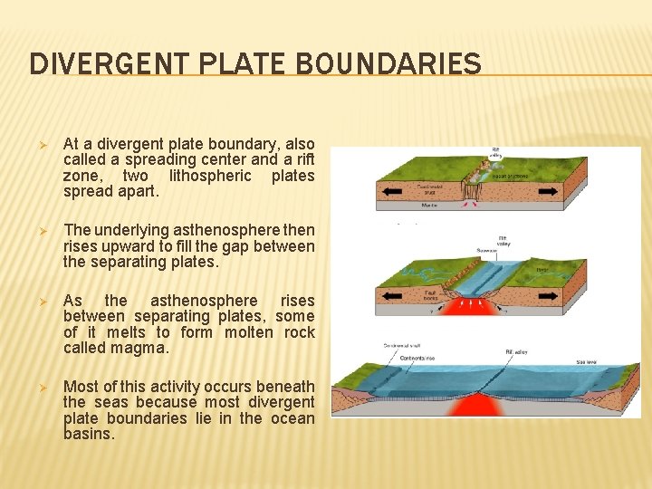 DIVERGENT PLATE BOUNDARIES Ø At a divergent plate boundary, also called a spreading center