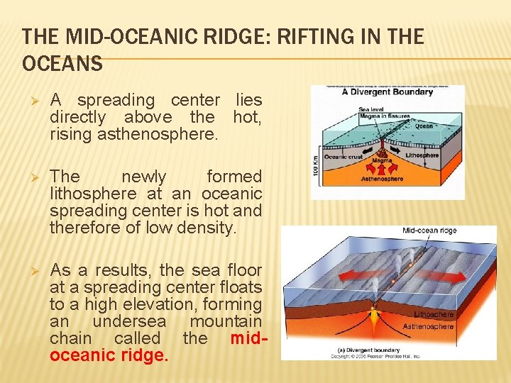 THE MID-OCEANIC RIDGE: RIFTING IN THE OCEANS Ø A spreading center lies directly above