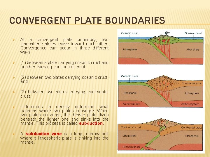CONVERGENT PLATE BOUNDARIES Ø At a convergent plate boundary, two lithospheric plates move toward