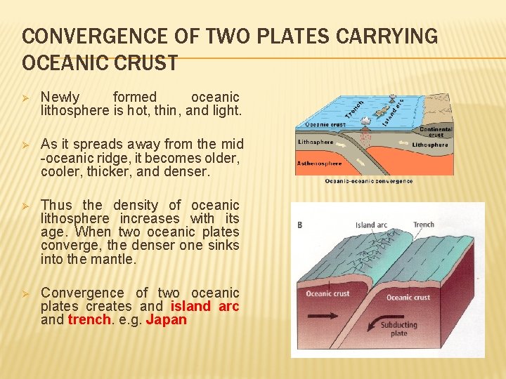 CONVERGENCE OF TWO PLATES CARRYING OCEANIC CRUST Ø Newly formed oceanic lithosphere is hot,
