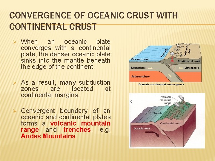 CONVERGENCE OF OCEANIC CRUST WITH CONTINENTAL CRUST Ø When an oceanic plate converges with