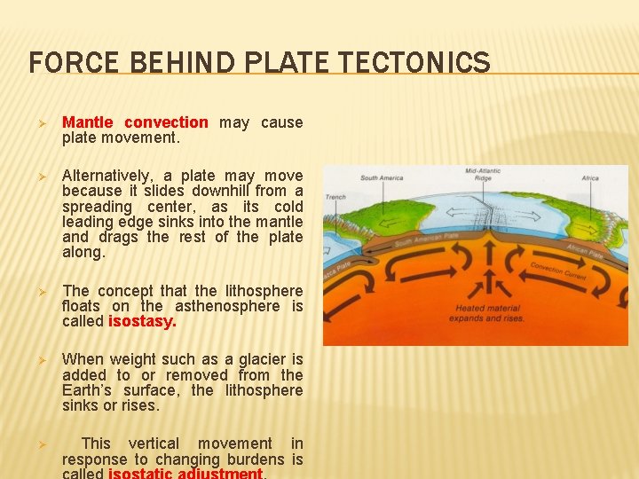 FORCE BEHIND PLATE TECTONICS Ø Mantle convection may cause plate movement. Ø Alternatively, a