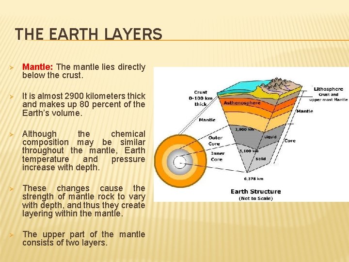 THE EARTH LAYERS Ø Mantle: The mantle lies directly below the crust. Ø It