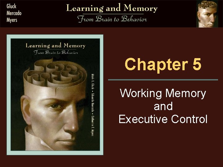 Chapter 5 Working Memory and Executive Control 