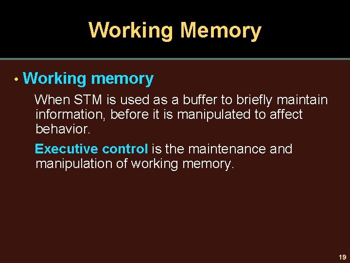 Working Memory • Working memory When STM is used as a buffer to briefly