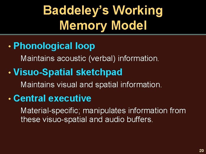 Baddeley’s Working Memory Model • Phonological loop Maintains acoustic (verbal) information. • Visuo-Spatial sketchpad