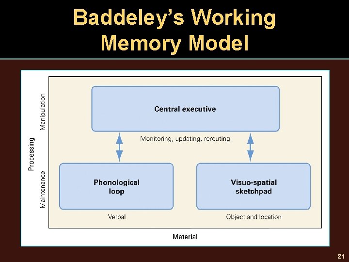 Baddeley’s Working Memory Model 21 