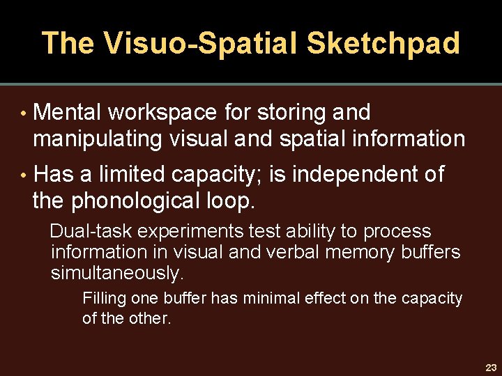 The Visuo-Spatial Sketchpad • Mental workspace for storing and manipulating visual and spatial information