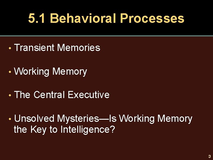 5. 1 Behavioral Processes • Transient Memories • Working Memory • The Central Executive