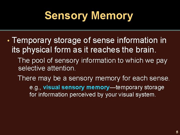 Sensory Memory • Temporary storage of sense information in its physical form as it