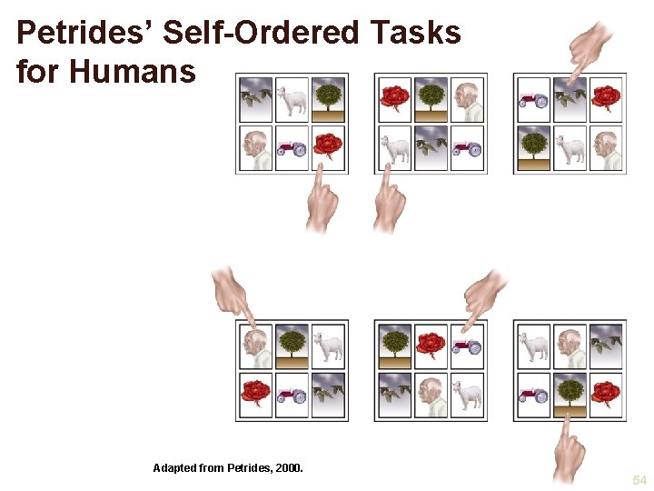 Petrides’ Self-Ordered Tasks for Humans Adapted from Petrides, 2000. 54 