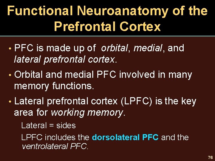 Functional Neuroanatomy of the Prefrontal Cortex • PFC is made up of orbital, medial,