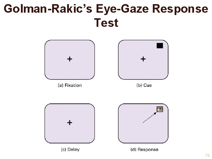 Golman-Rakic’s Eye-Gaze Response Test 78 