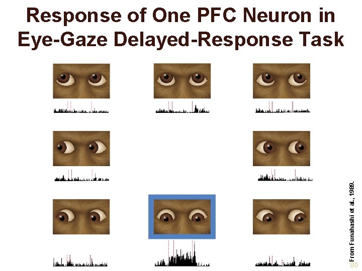 From Funahashi et al. , 1989. Response of One PFC Neuron in Eye-Gaze Delayed-Response