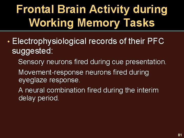 Frontal Brain Activity during Working Memory Tasks • Electrophysiological records of their PFC suggested: