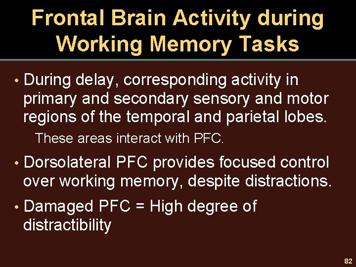 Frontal Brain Activity during Working Memory Tasks • During delay, corresponding activity in primary