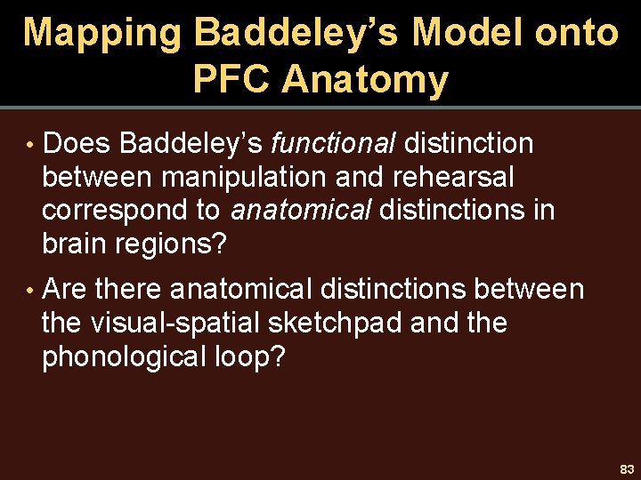 Mapping Baddeley’s Model onto PFC Anatomy • Does Baddeley’s functional distinction between manipulation and