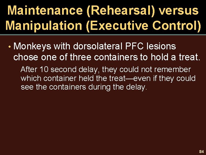 Maintenance (Rehearsal) versus Manipulation (Executive Control) • Monkeys with dorsolateral PFC lesions chose one