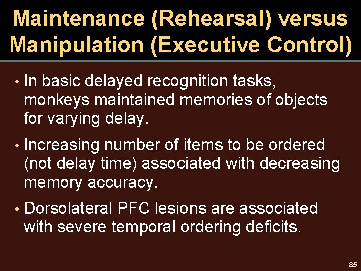 Maintenance (Rehearsal) versus Manipulation (Executive Control) • In basic delayed recognition tasks, monkeys maintained