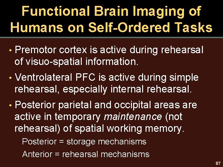 Functional Brain Imaging of Humans on Self-Ordered Tasks • Premotor cortex is active during