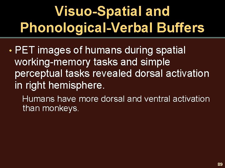 Visuo-Spatial and Phonological-Verbal Buffers • PET images of humans during spatial working-memory tasks and