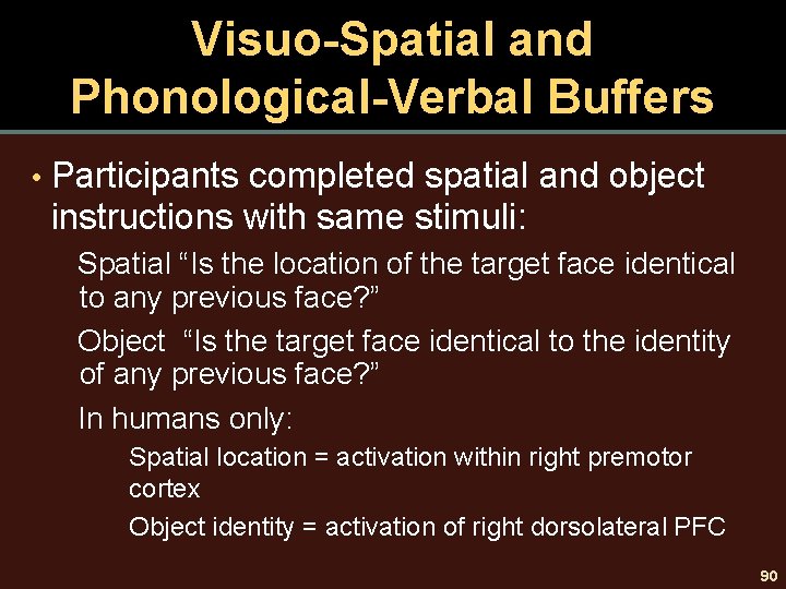 Visuo-Spatial and Phonological-Verbal Buffers • Participants completed spatial and object instructions with same stimuli: