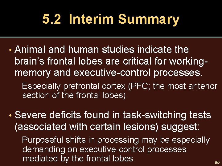 5. 2 Interim Summary • Animal and human studies indicate the brain’s frontal lobes