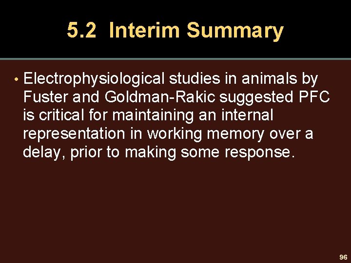 5. 2 Interim Summary • Electrophysiological studies in animals by Fuster and Goldman-Rakic suggested