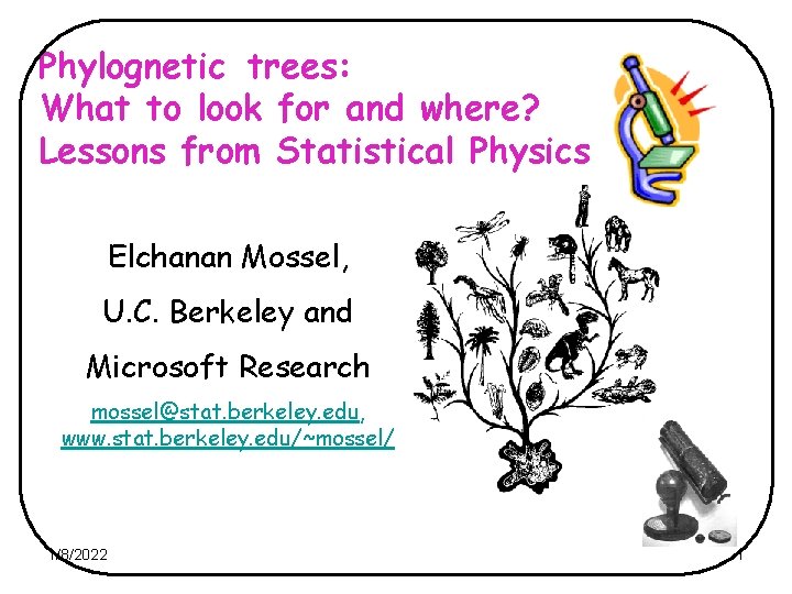 Phylognetic trees: What to look for and where? Lessons from Statistical Physics Elchanan Mossel,