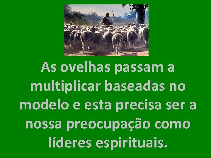 As ovelhas passam a multiplicar baseadas no modelo e esta precisa ser a nossa