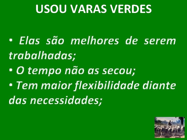 USOU VARAS VERDES • Elas são melhores de serem trabalhadas; • O tempo não