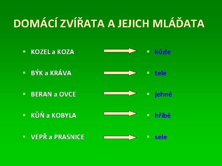 DOMÁCÍ ZVÍŘATA A JEJICH MLÁĎATA § KOZEL a KOZA § kůzle § BÝK a