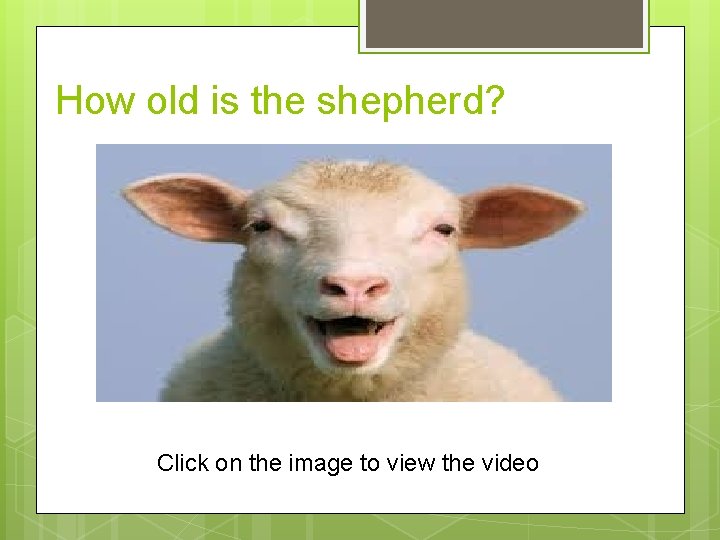 How old is the shepherd? Click on the image to view the video 