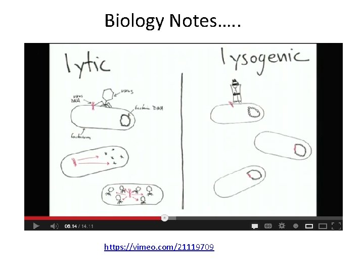 Biology Notes…. . https: //vimeo. com/21119709 