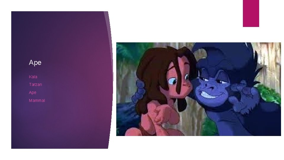 Ape Kala Tarzan Ape Mammal 