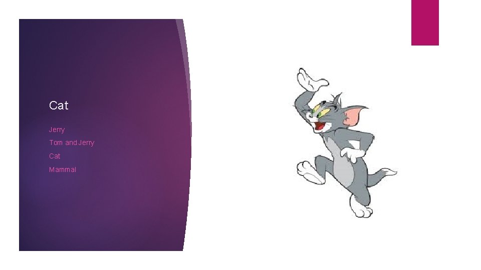 Cat Jerry Tom and Jerry Cat Mammal 