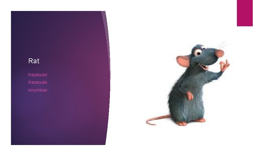 Rat Ratatouille Amphibian 