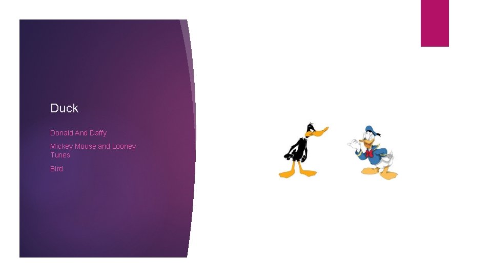 Duck Donald And Daffy Mickey Mouse and Looney Tunes Bird 