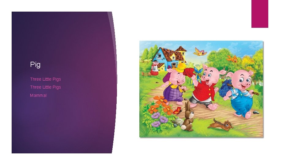 Pig Three Little Pigs Mammal 