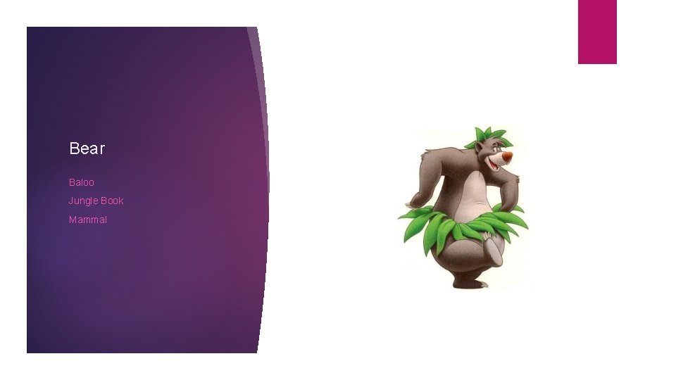 Bear Baloo Jungle Book Mammal 