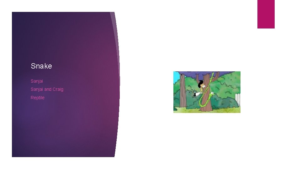 Snake Sanjai and Craig Reptile 