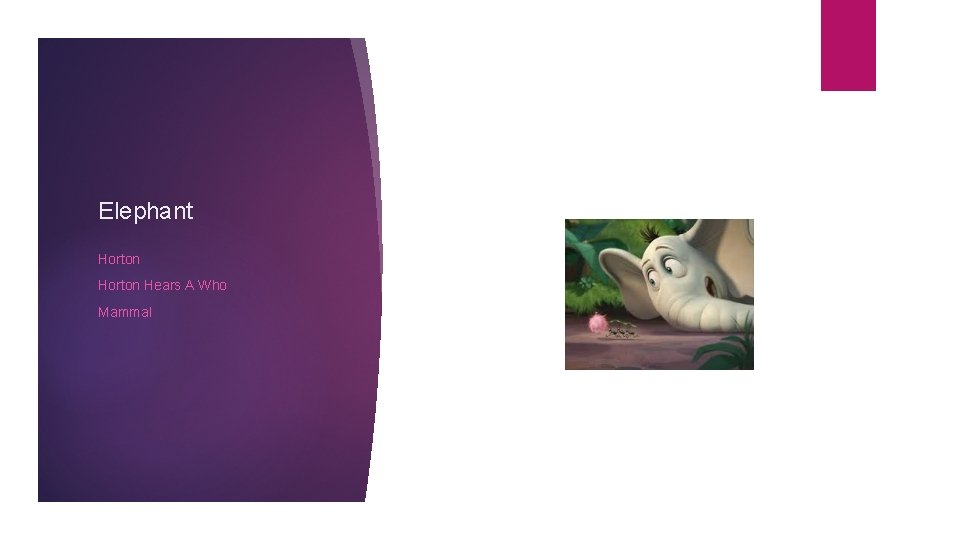 Elephant Horton Hears A Who Mammal 