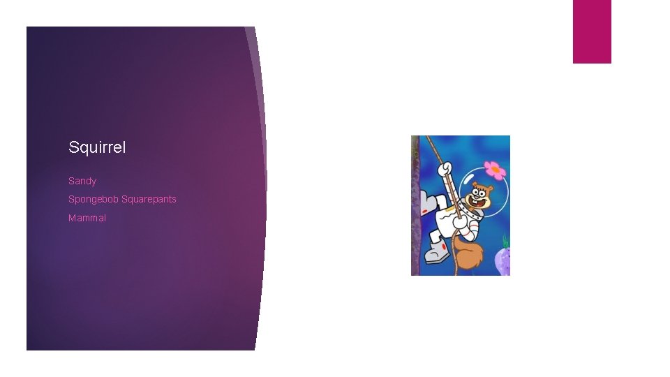 Squirrel Sandy Spongebob Squarepants Mammal 