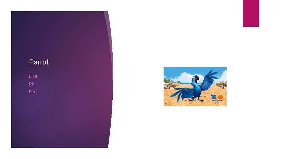 Parrot Blue Rio Bird 