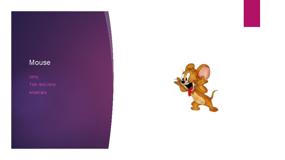 Mouse Jerry Tom and Jerry Anamalia 