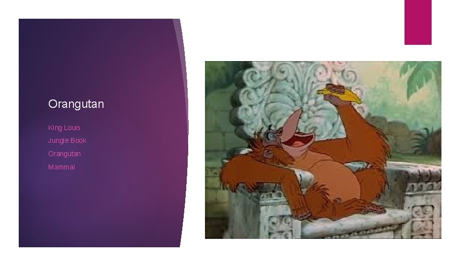 Orangutan King Louis Jungle Book Orangutan Mammal 