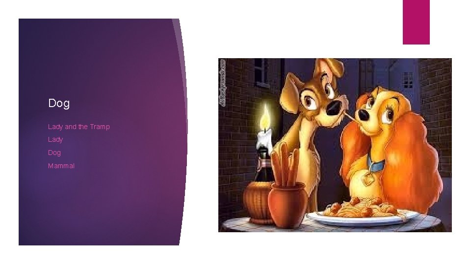 Dog Lady and the Tramp Lady Dog Mammal 