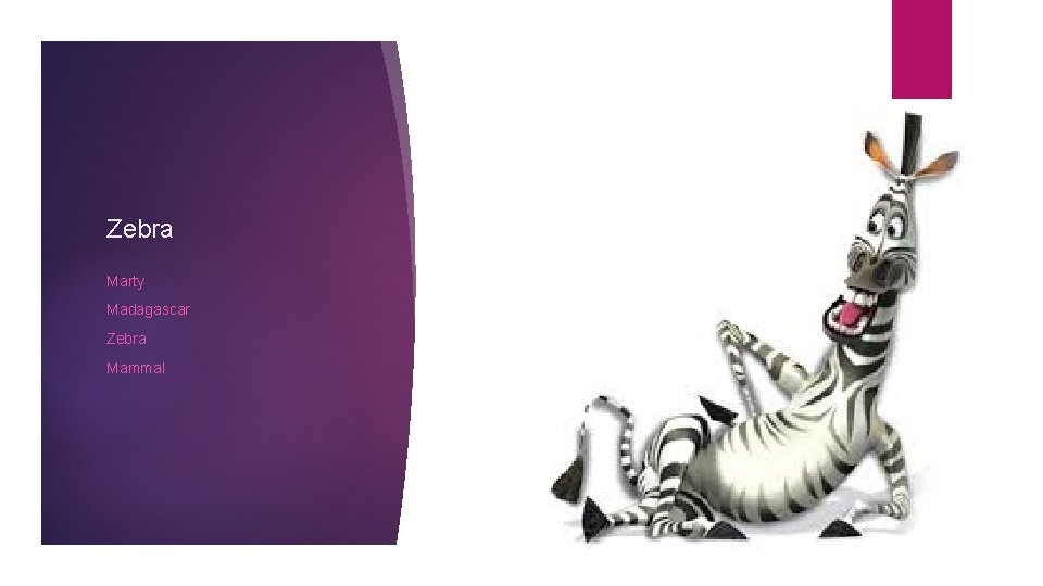 Zebra Marty Madagascar Zebra Mammal 